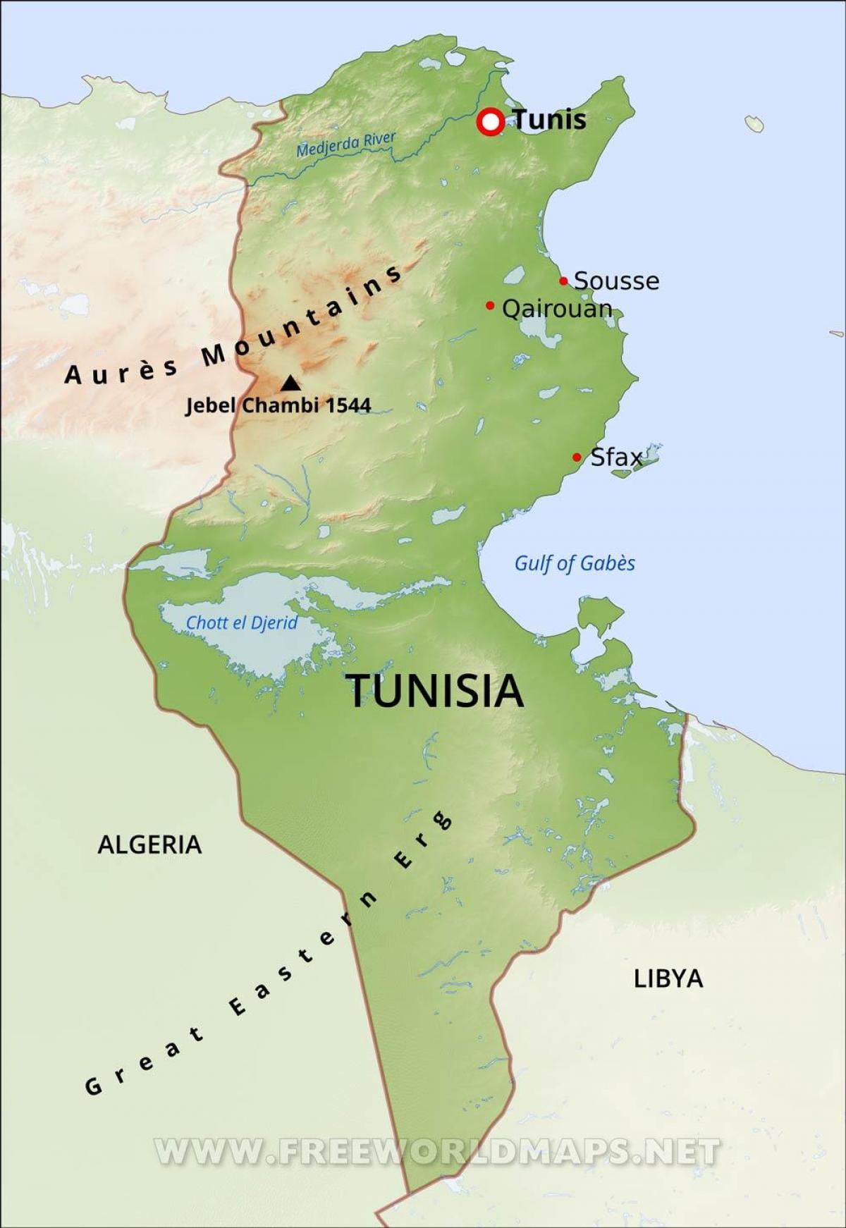 тунис где находится